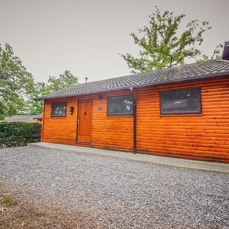 Chalet Le Beau Renard In Somme-Leuze Near Durbuy 빌라 외부 사진