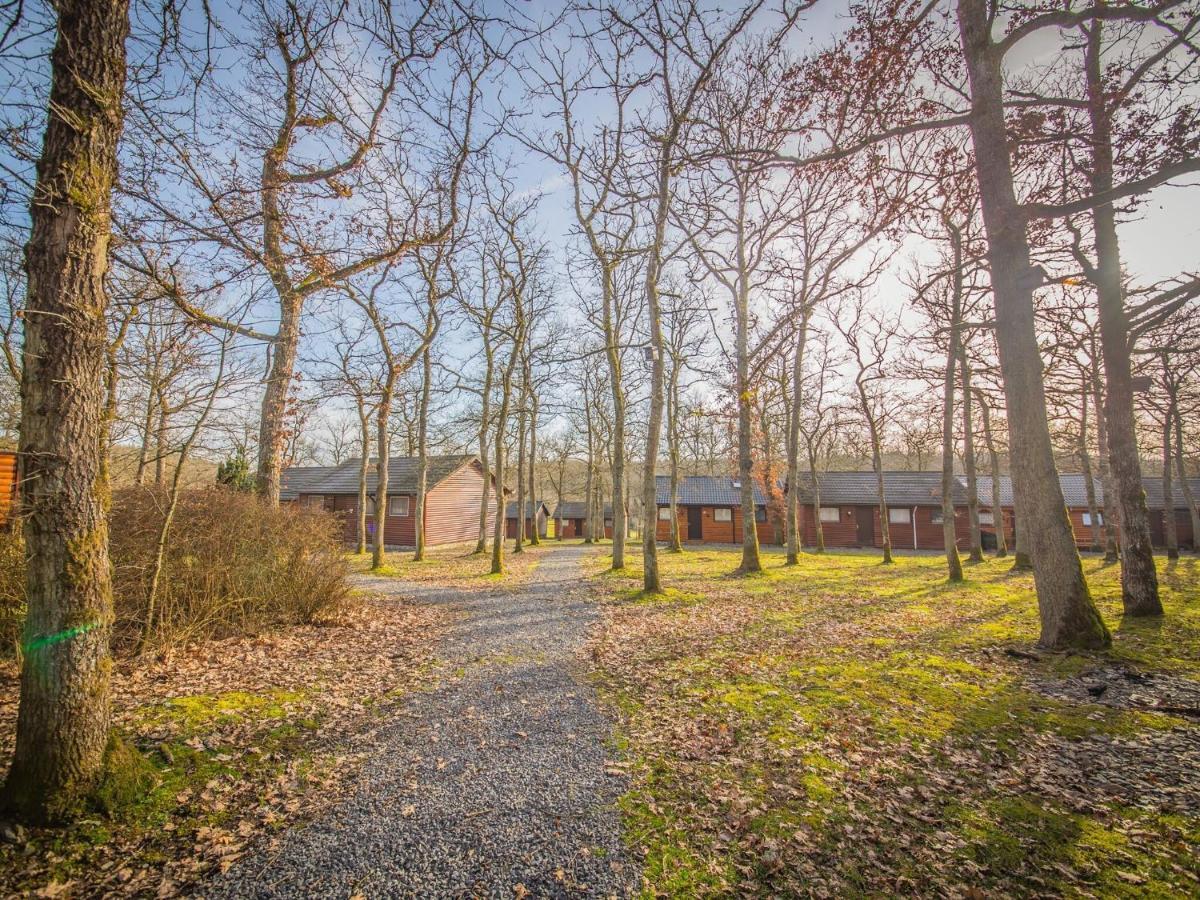 Chalet Le Beau Renard In Somme-Leuze Near Durbuy 빌라 외부 사진